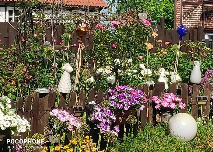 公寓 Annabell 索斯特